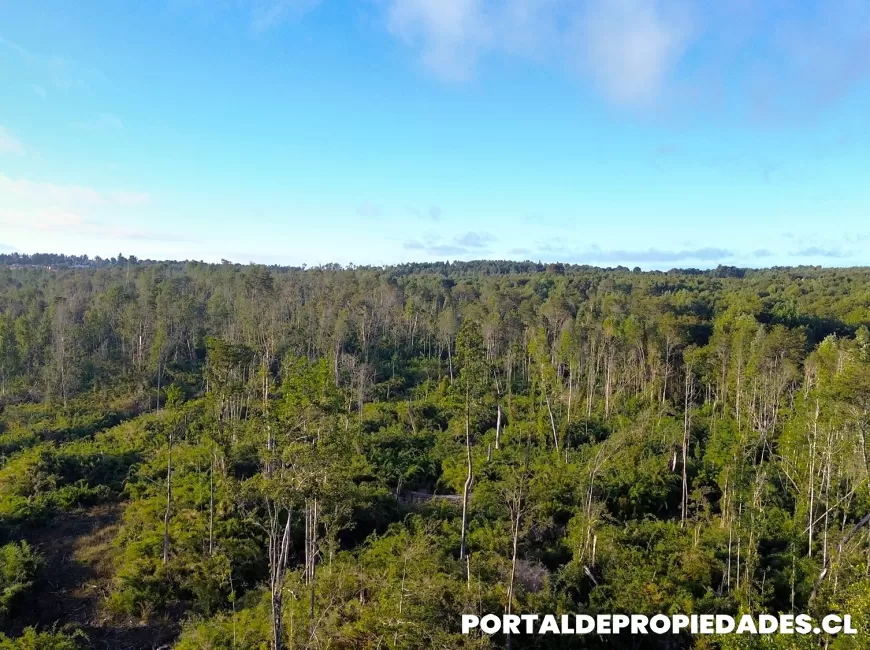 Venta en Puerto Montt | Parcela en Puerto Montt - Parcela N°398- Parcela de 2 hectáreas a 800 metros del área urbana