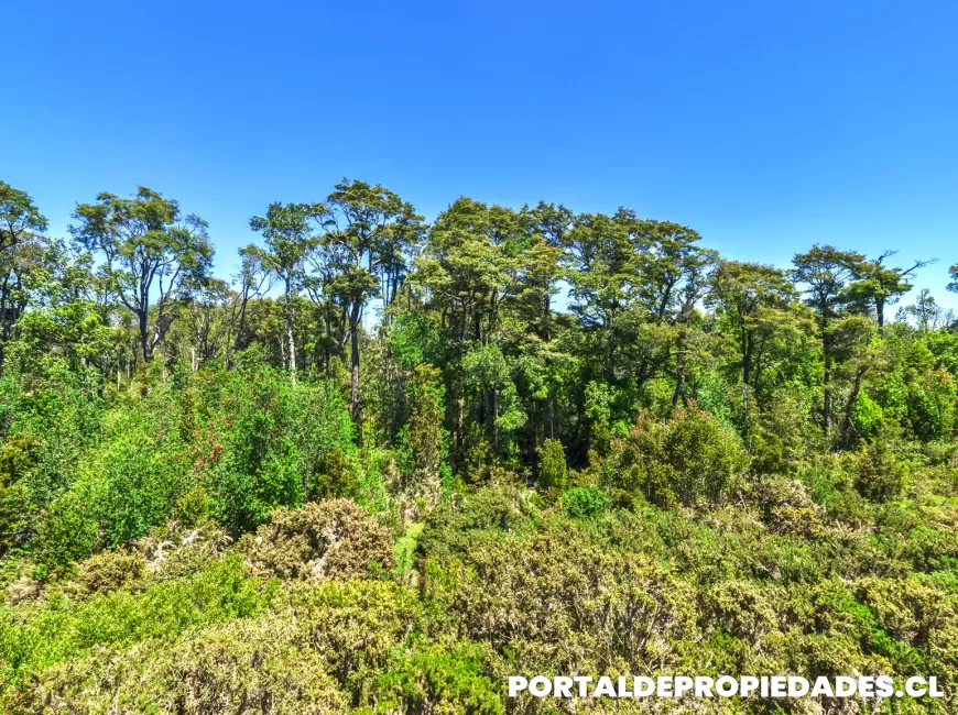 Venta en Puerto Montt | Parcela en Puerto Montt - Parcela N°374 - Parcela de 2 hectáreas a 800 metros del área urbana