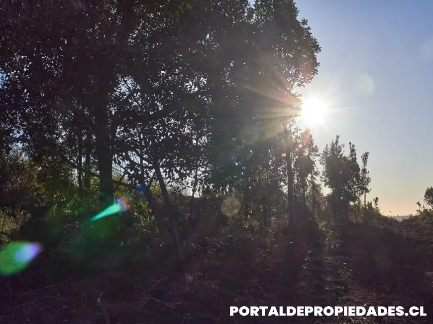 Venta en Puerto Montt | Parcela en Puerto Montt - Parcela N°389- Parcela de 2 hectáreas a 800 metros del área urbana