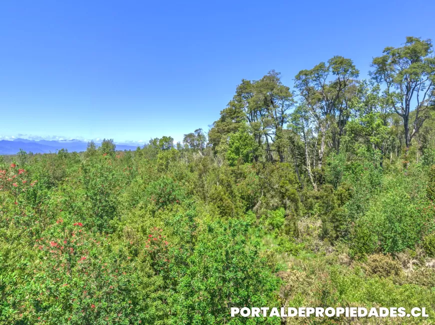 Venta en Puerto Montt | Parcela en Puerto Montt - Parcela N°389- Parcela de 2 hectáreas a 800 metros del área urbana