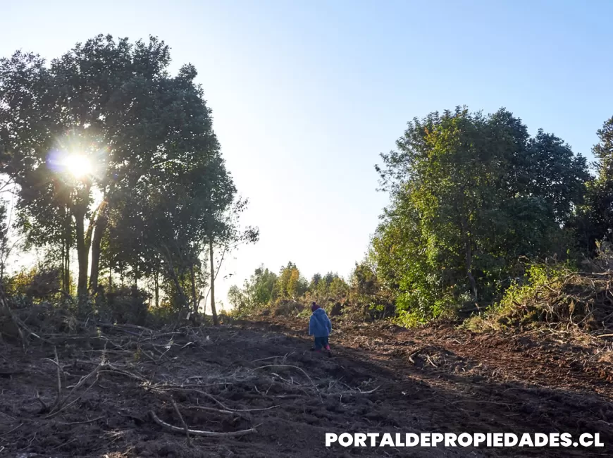 Venta en Puerto Montt | Parcela en Puerto Montt - Parcela N°389- Parcela de 2 hectáreas a 800 metros del área urbana