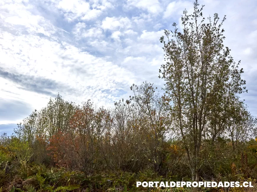 Venta en Puerto Montt | Parcela en Puerto Montt - Parcela N°375- Parcela de 2 hectáreas a 800 metros del área urbana