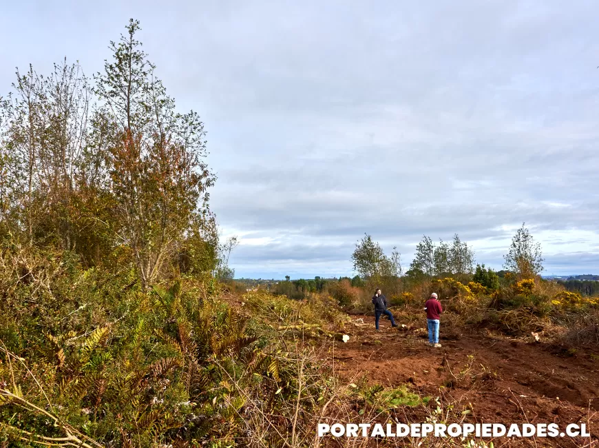 Venta en Puerto Montt | Parcela en Puerto Montt - Parcela N°375- Parcela de 2 hectáreas a 800 metros del área urbana