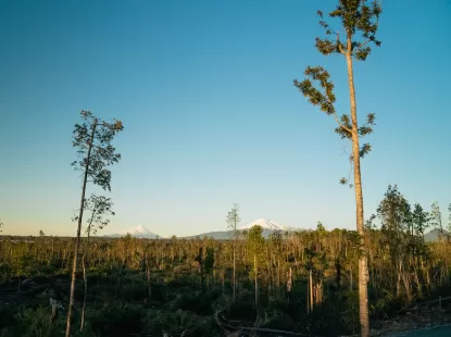 Parcela en Puerto Montt oportunidad